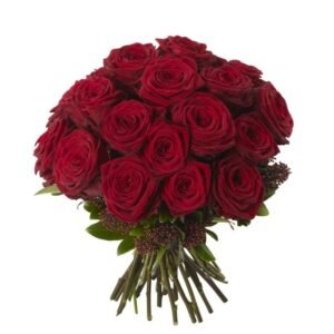 ورد كريز ماروني