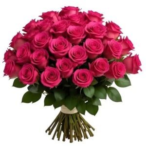 ورد كريز وردي غامق