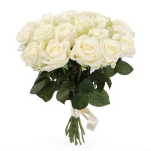 ورد كريز ابيض